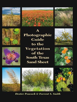 cover image of A Photographic Guide to the Vegetation of the South Texas Sand Sheet